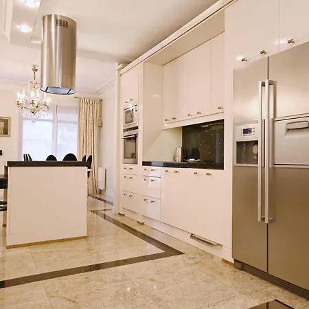 Large And Luxury 3city In With Two Terraces By Renters Apartment *